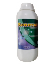 RENOVAPLAC